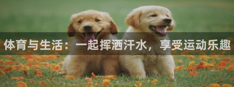 ug环球官网：体育与生活：一起挥洒汗水，享受运动乐趣