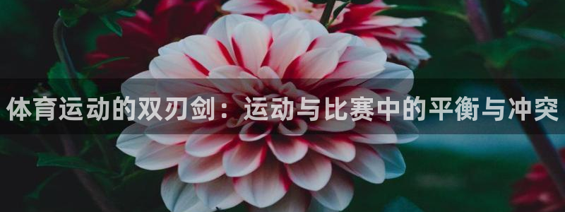 菲律宾ug环球官网：体育运动的双刃剑：运动与比赛中的平衡与冲突