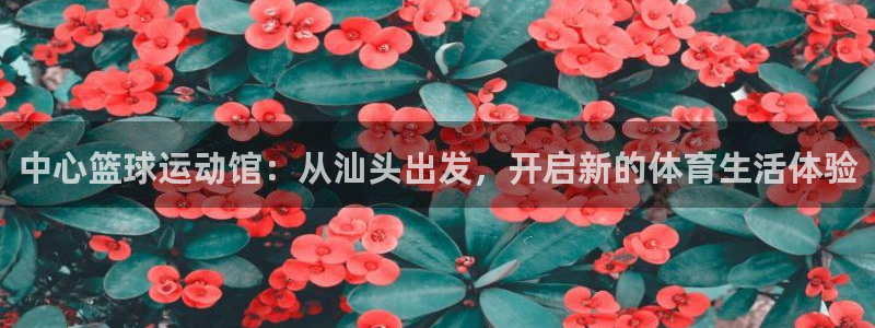 ug环球官网注册：中心篮球运动馆：从汕头出发，开启新的体育生活体验
