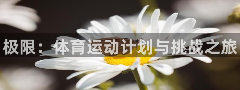 ug环球官网：极限：体育运动计划与挑战之旅