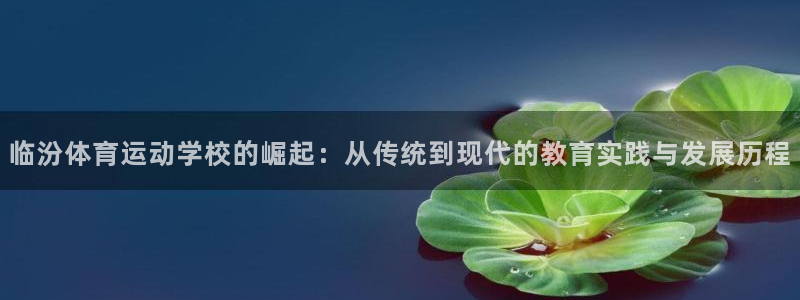 菲律宾ug环球官网：临汾体育运动学校的崛起：从传统到现代的教育实践与发展历程